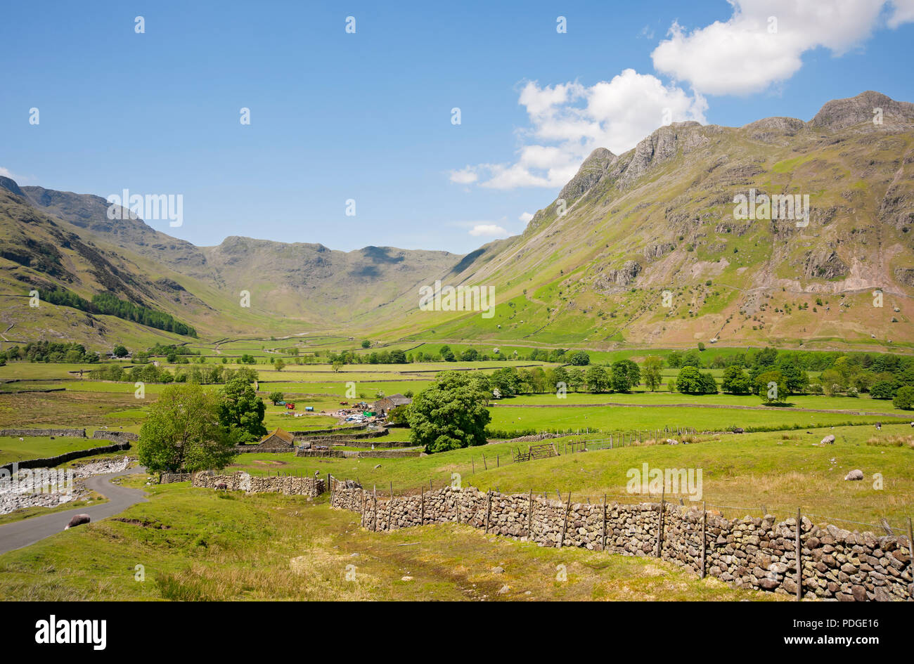 Langdale Pikes y Great Langdale Valley en verano Lake District National Park Cumbria England Reino Unido GB Gran Bretaña Foto de stock