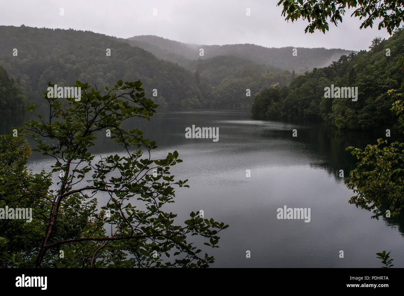 Croacia: la vegetación y el lago en el Parque Nacional de Plitvice, uno de los más antiguos y famosos parques en el Estado en la frontera con Bosnia Herzegovina Foto de stock