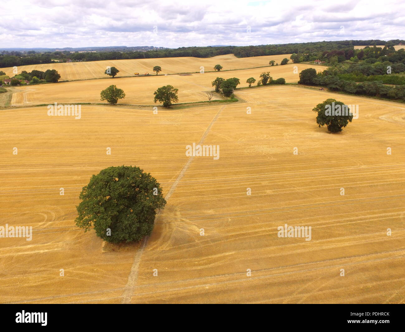 Vista aérea del paisaje rural de West Sussex, Inglaterra. Foto de stock