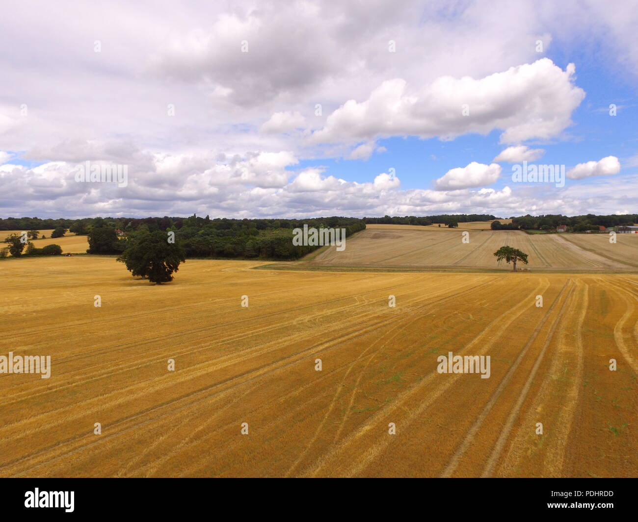 Antena drone imagen de las orugas del tractor en un campo de cebada en West Sussex, Inglaterra. Foto de stock