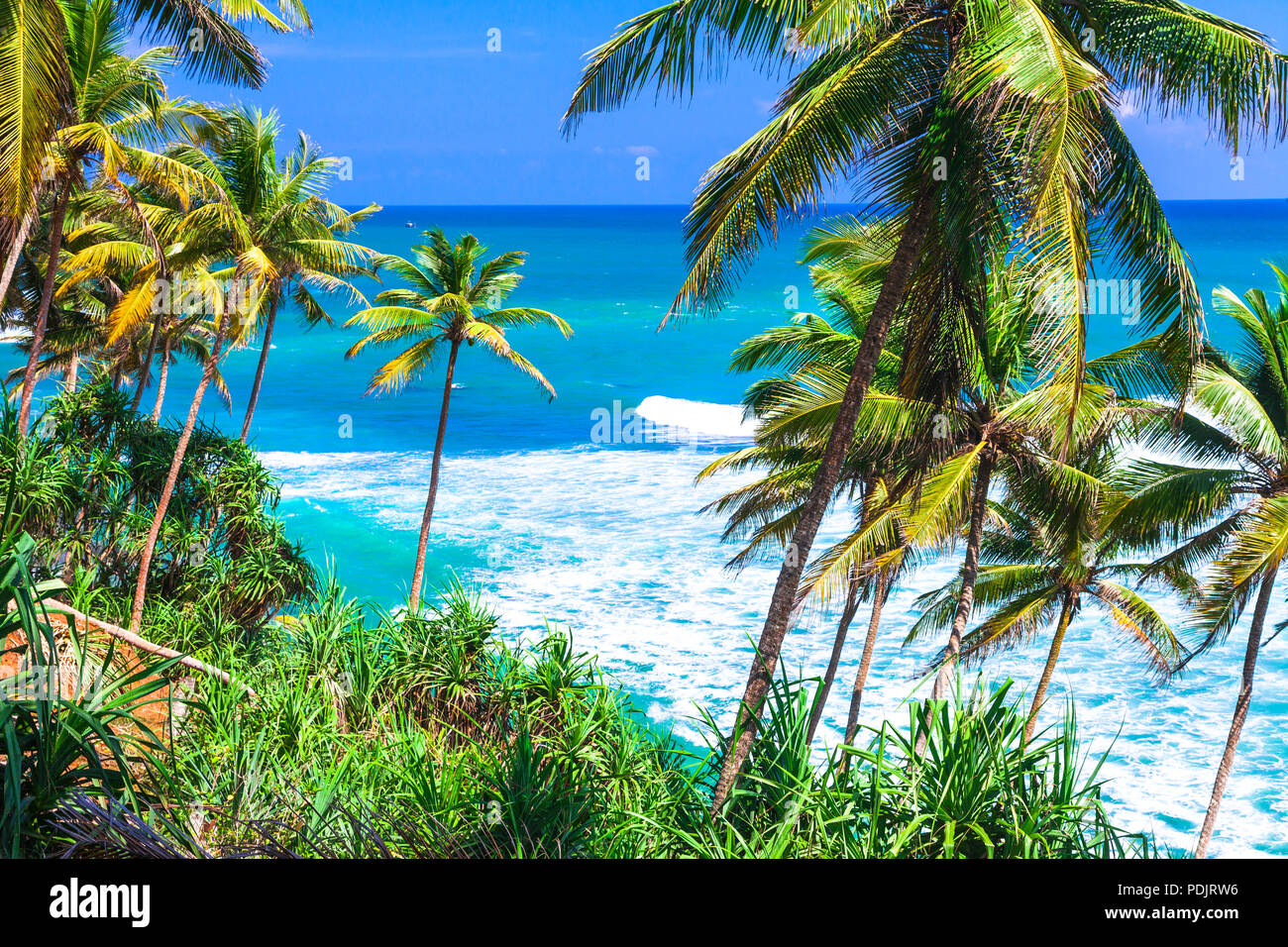 Hermosa playa de Sri Lanka,con vista mar azul y palmeras. Foto de stock