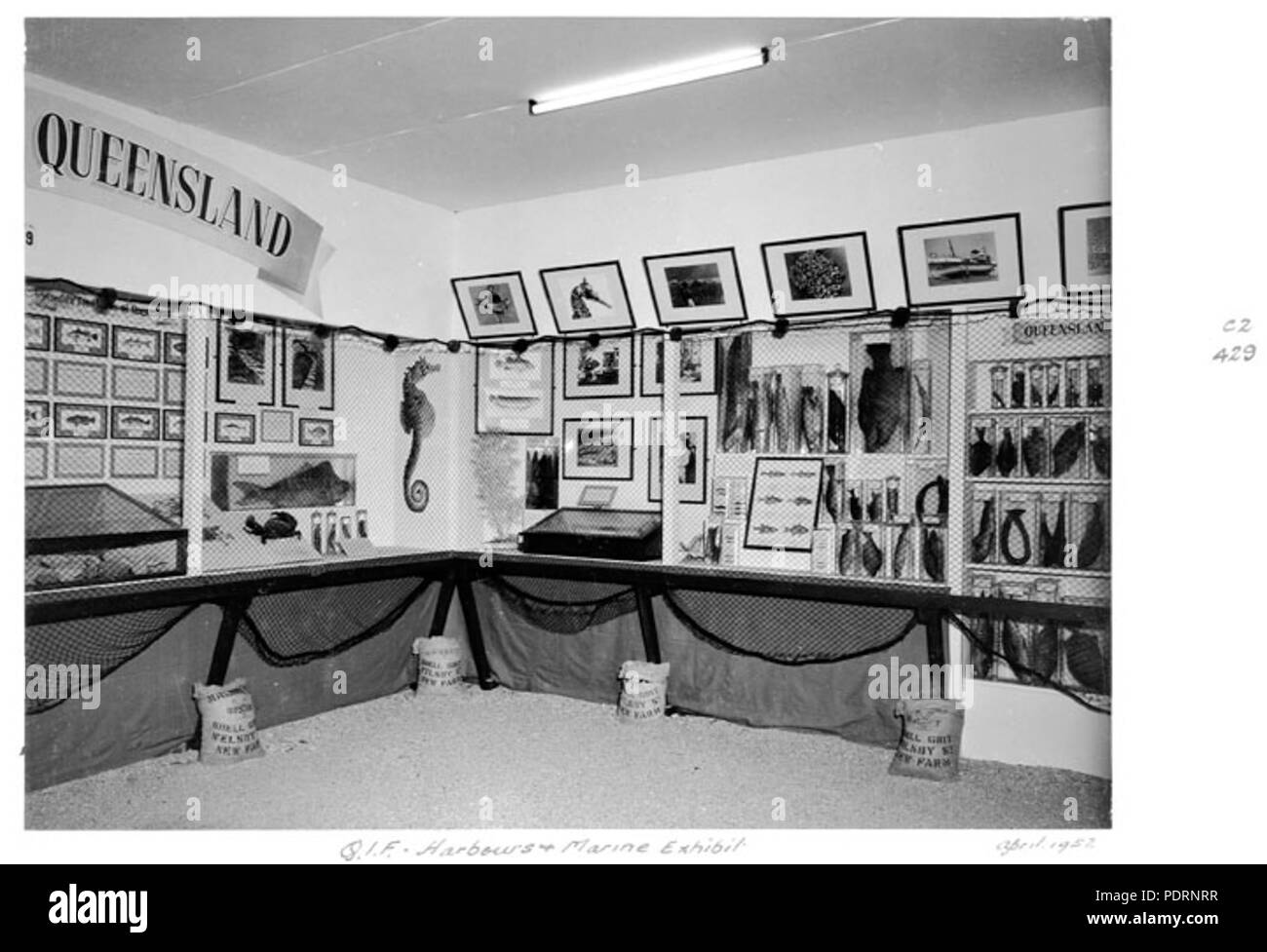 118 Archivos del Estado de Queensland 4978 Puertos y Marinas Industrias Queensland exposición Feria de Abril 1952 Foto de stock