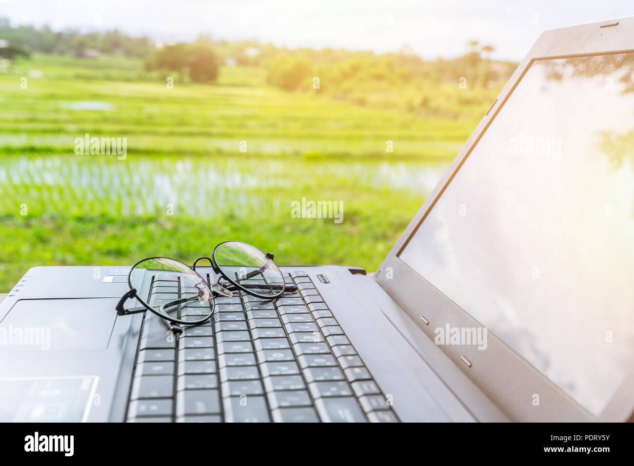 Ordenador portátil con gafas con campo de arroz escena rural antecedentes para la moderna tecnología nueva generación agricultor concepto Foto de stock