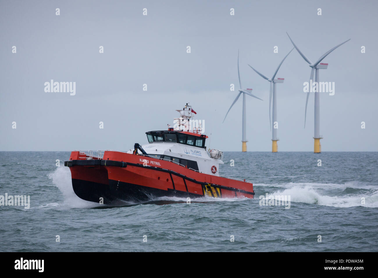 La transferencia de la tripulación, el buque Petrel de Njord trabajando en el parque eólico offshore de extensión Walney Foto de stock