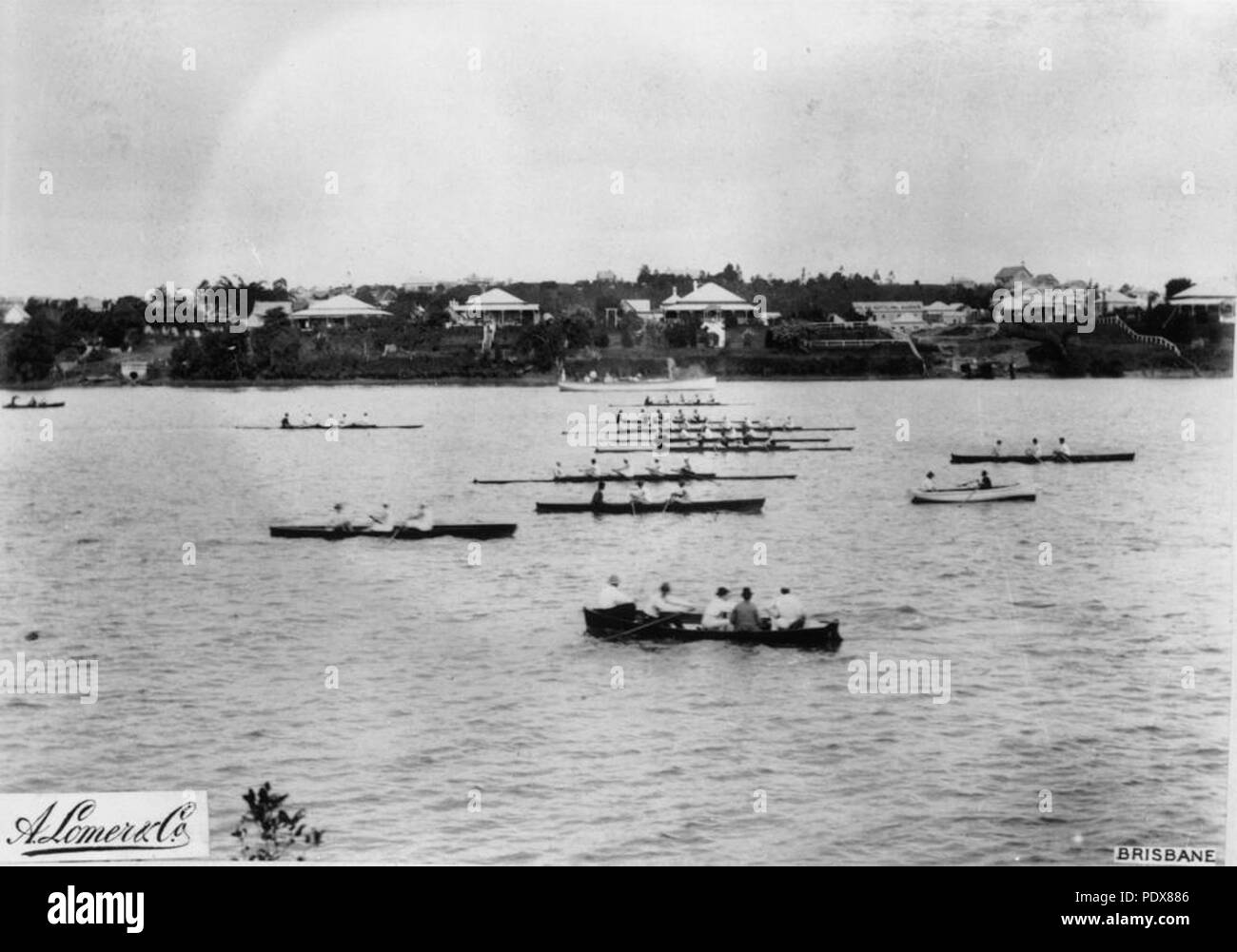 269 1 53304 StateLibQld regata en el río Brisbane, CA. 1889 Foto de stock