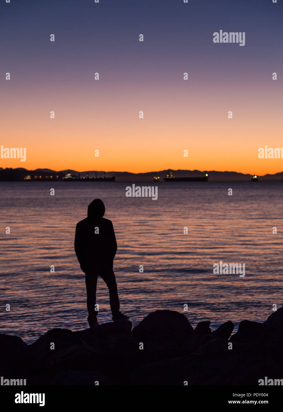 Hombre de pie junto al océano, mirando hacia el horizonte. Foto de stock