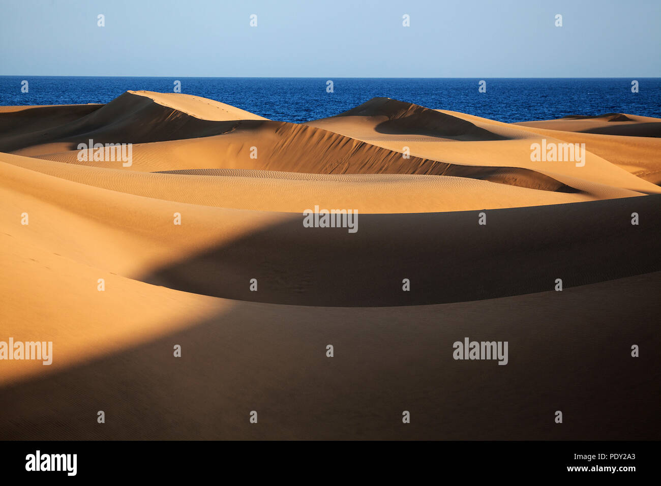 Paisaje de dunas, las dunas de Maspalomas, Las Dunas de Maspalomas, reserva natural, Gran Canaria, Islas Canarias, España Foto de stock