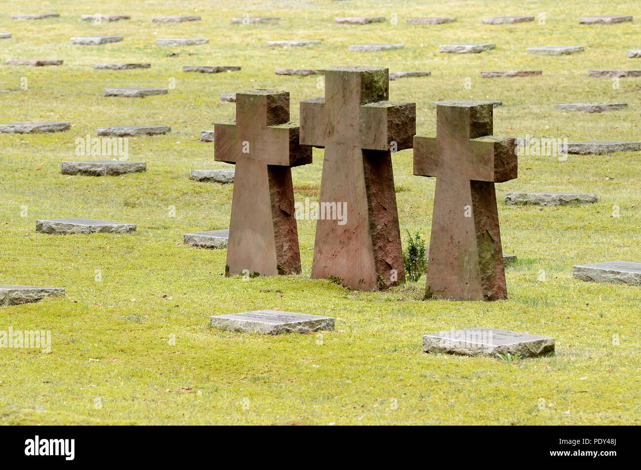 Tres cruces de piedra y losas de tumba en el cementerio militar,  Waldfriedhof Halbe, uno de los mayores sitios de tumbas de guerra en  Alemania Fotografía de stock - Alamy
