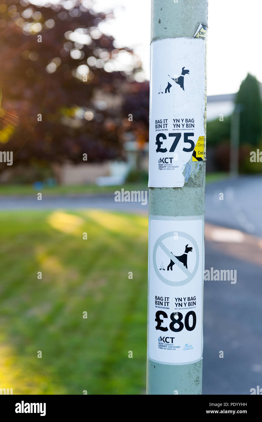 Consejo firma sobre un poste de la luz, en el sur de Gales, advertencia de  sanciones para los propietarios de perros que no recojan su perro del lío.  El viejo signo está