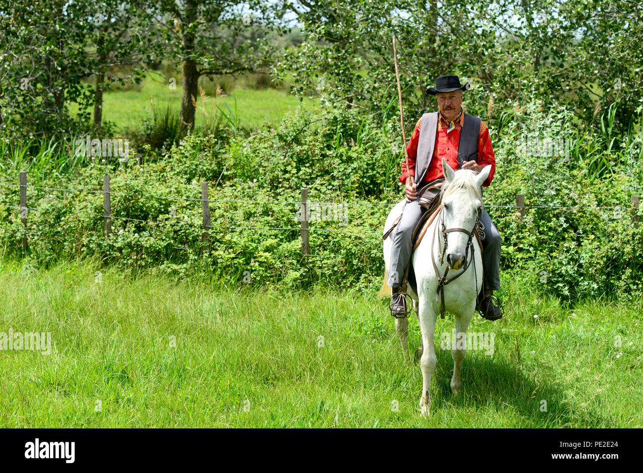 Los turistas de cruceros visitan una granja de caballos y toros con caballos jóvenes, trabajadores posando y jinetes redondeando los toros en la región de Camargue, Francia 2018 Foto de stock