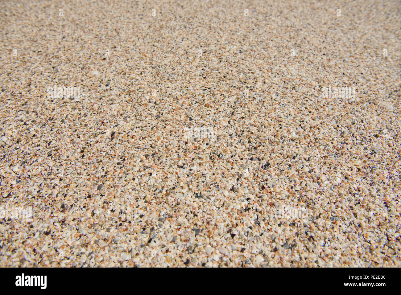 Macro cierre de muchas pequeñas conchas de mar amarillo. Papel tapiz de mariscos playa. Foto de stock