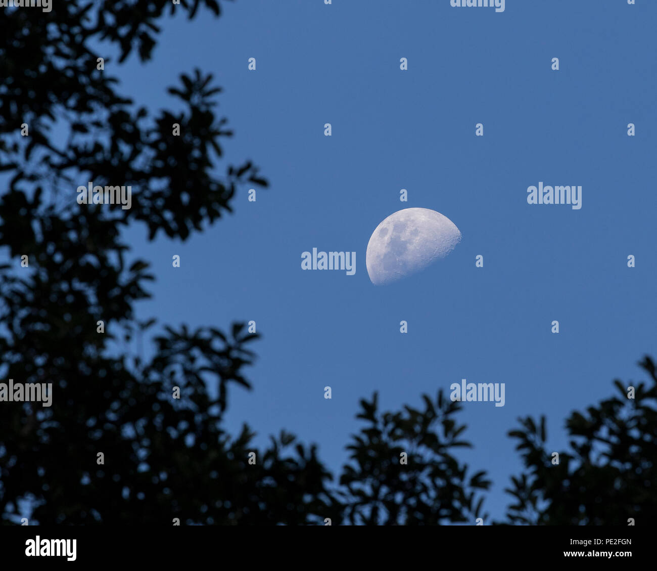 Una Vista De La Luna En El Cielo Claro De Borneo Fotografia De Stock Alamy alamy