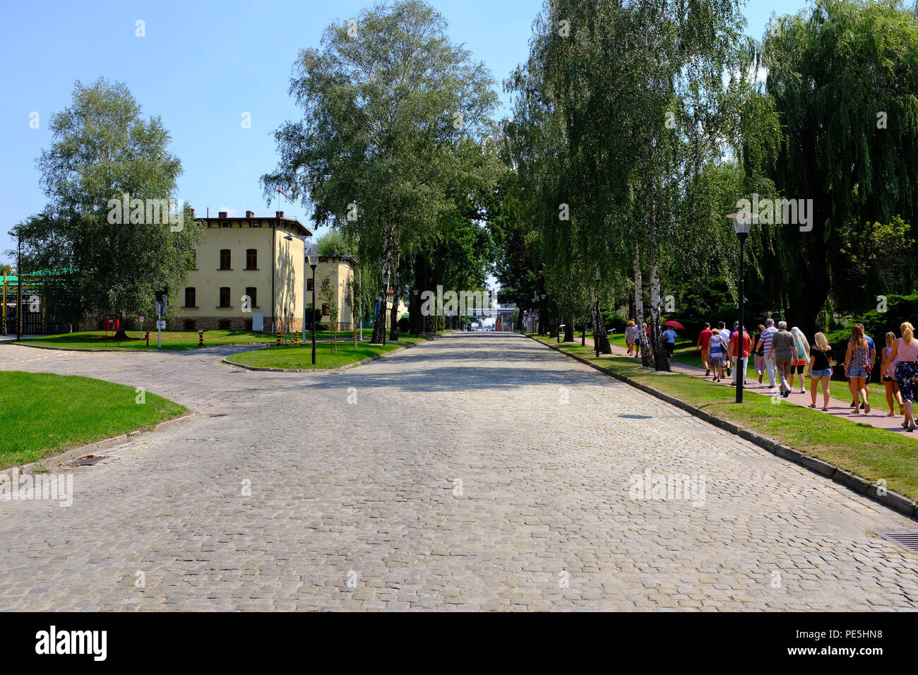 En la calle arbolada Tychy (Cervecería Tyskie) en Polonia, Europa. Foto de stock