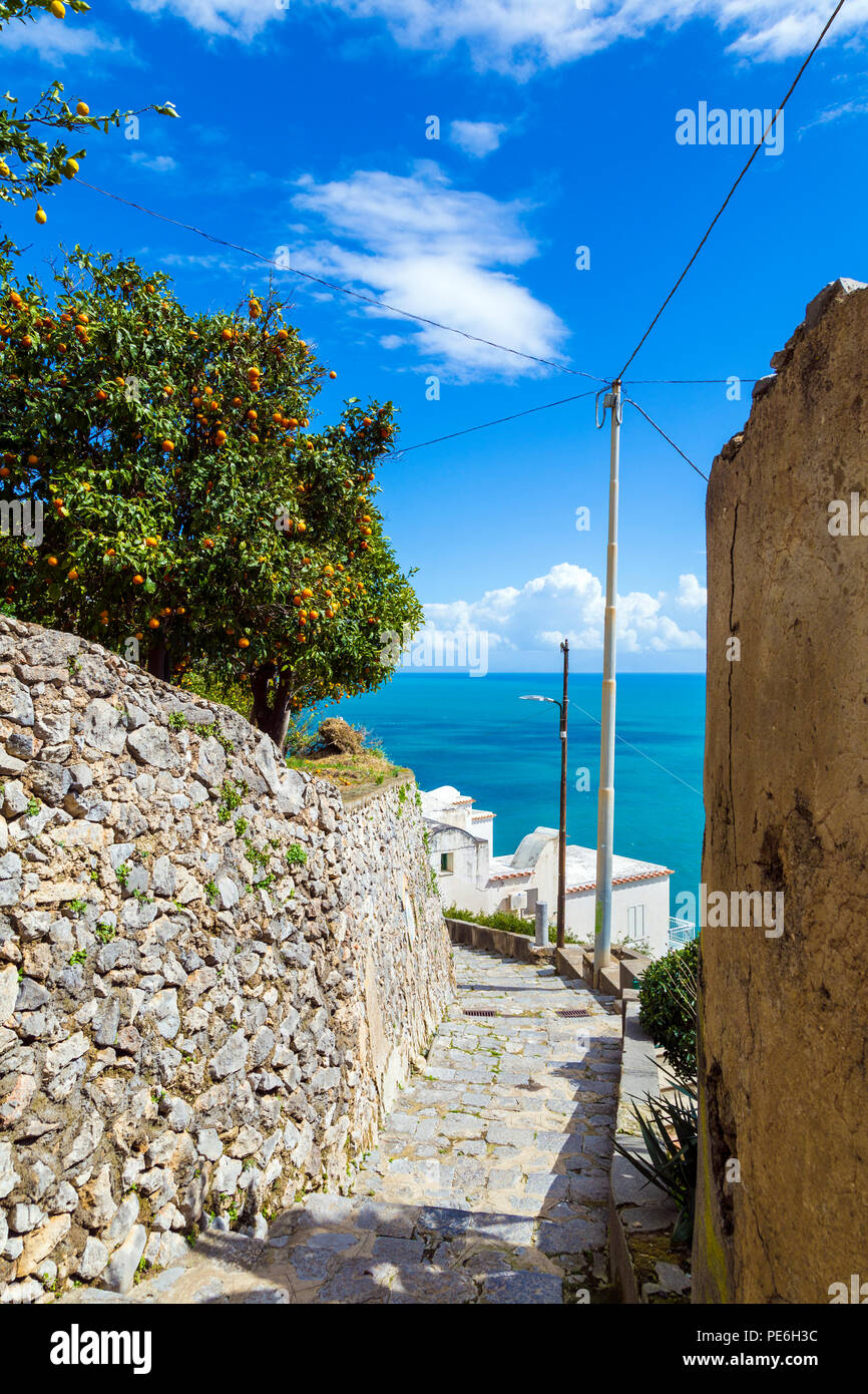 Un estrecho callejón mediterráneo empedrado con casas y árboles de naranja en Praiano, en la costa de Amalfi, Italia Foto de stock