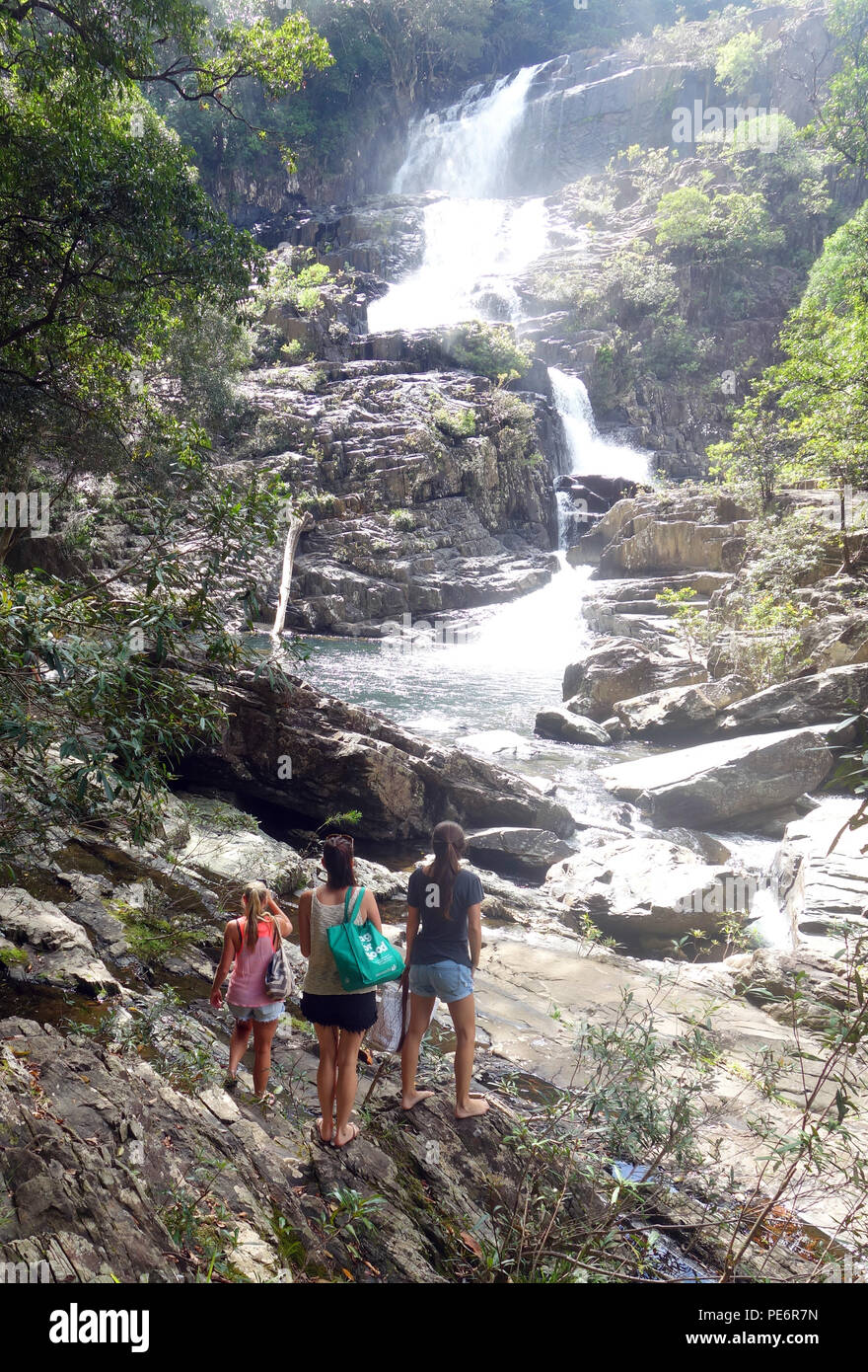 Las mujeres jóvenes aventureros llegar a casa Regla Falls, Cedar Bay National Park, Queensland, Australia. No, señor Foto de stock