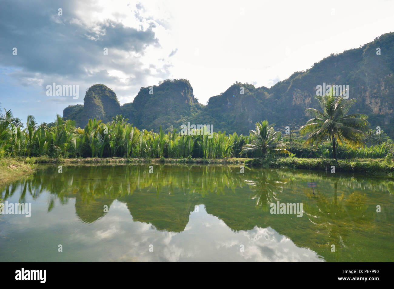 Hermosas aguas calizas y reflexiones en Rammang Rammang parque cerca de Makassar, Sulawesi meridional, en Indonesia Foto de stock
