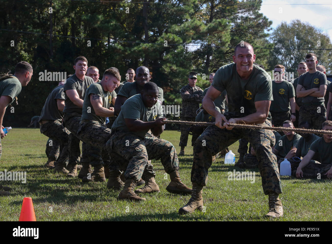 Los infantes de marina con el 8º batallón de comunicaciones competir en una  ronda de tug-of-war durante un campo reunirá en Camp Lejeune, N.C., el 6 de  noviembre, 2015. 8Com. Mn. Ofrece