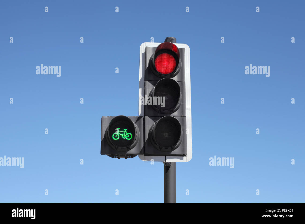 Un ciclo de la señal de tráfico de prioridad. La luz verde da ciclistas un headstart, permitiéndoles cruce antes que el resto del tráfico. Foto de stock