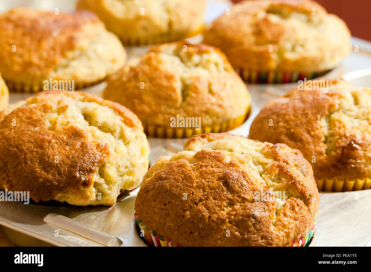 Pan de Banana Muffins (Magdalenas) en cupcake pueden - EE.UU. Foto de stock