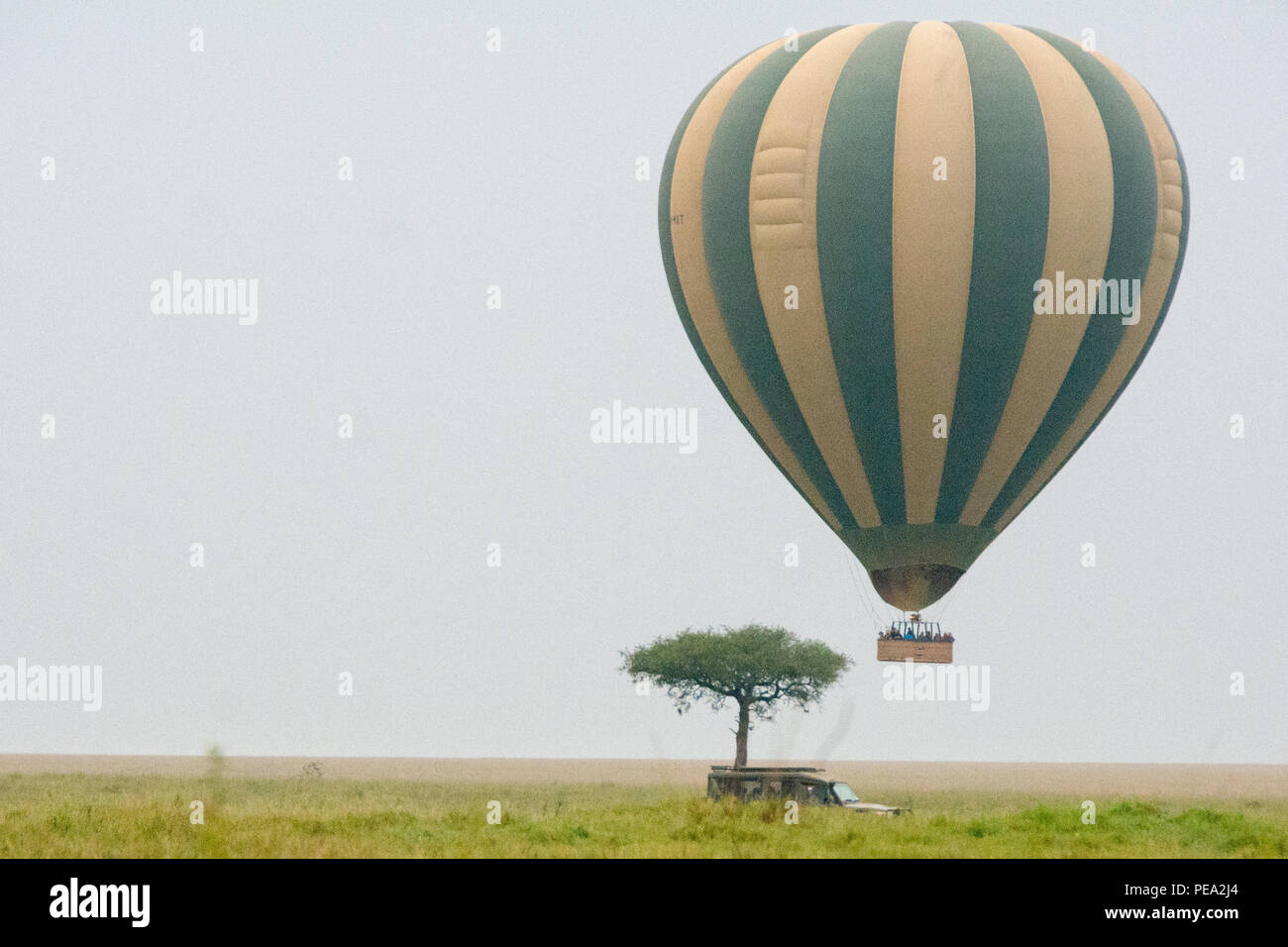 Un aire caliente ballon volando alrededor en busca de animales salvajes Foto de stock