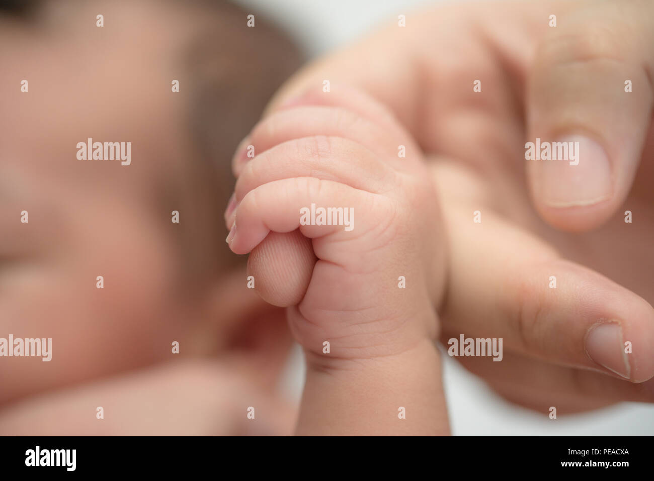 Bebe Recien Nacido Sujetando El Dedo De La Madre Padre Familia Feliz Y El Concepto De Proteccion Del Bebe Mama Y Papa Llevando De La Mano A Su Hijo Fotografia De Stock Bebe Recien Nacido Sujetando El Dedo De La Madre Padre Familia Feliz Y El Concepto De Proteccion Del Bebe Mama Y Papa Llevando De La Mano A Su Hijo Fotografia De Stock