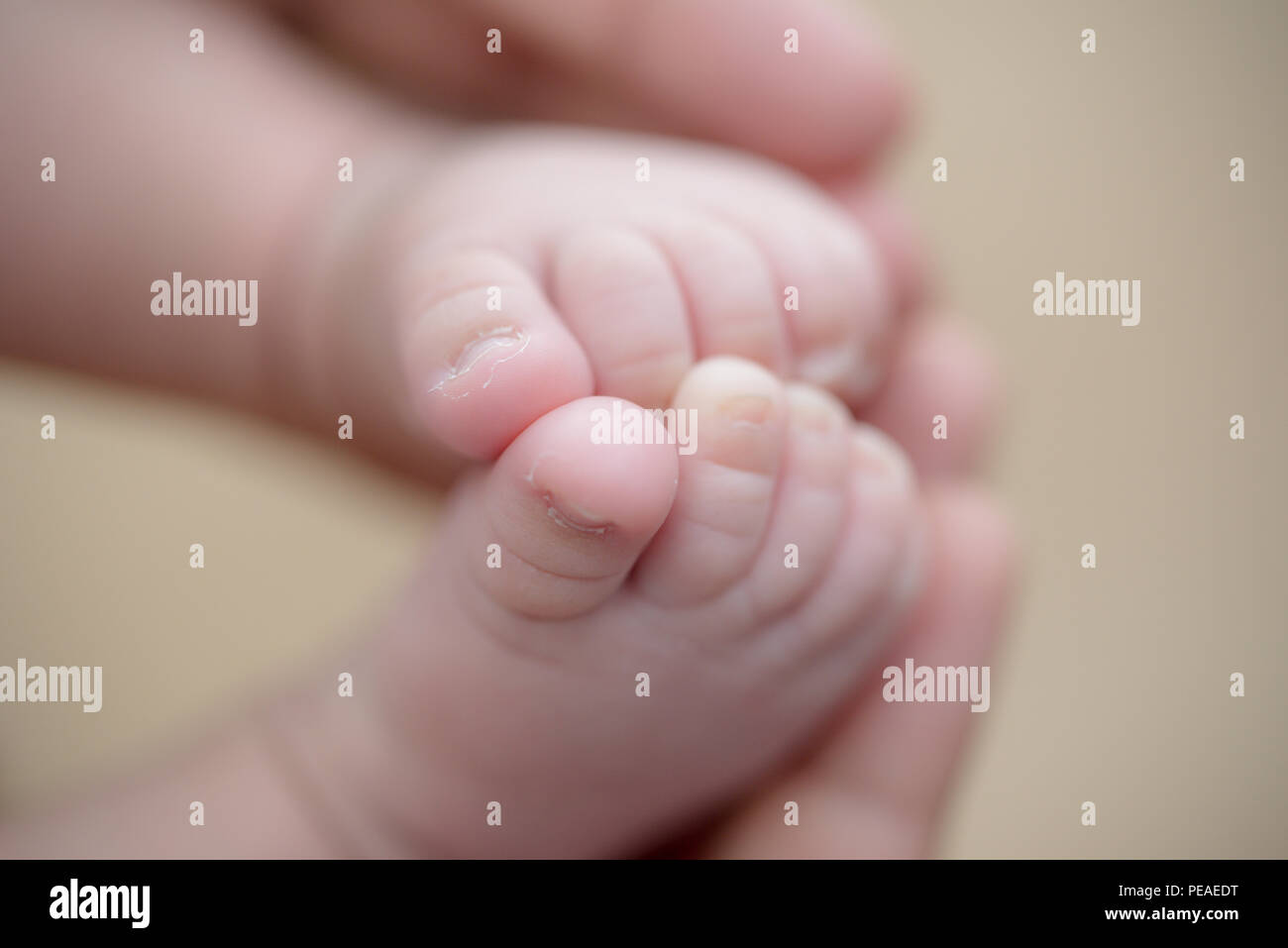 Los pies de un bebé recién nacido en las manos de los padres. Familia Feliz oncept. Papá y Mamá abrazo sus piernas del bebé. Foto de stock