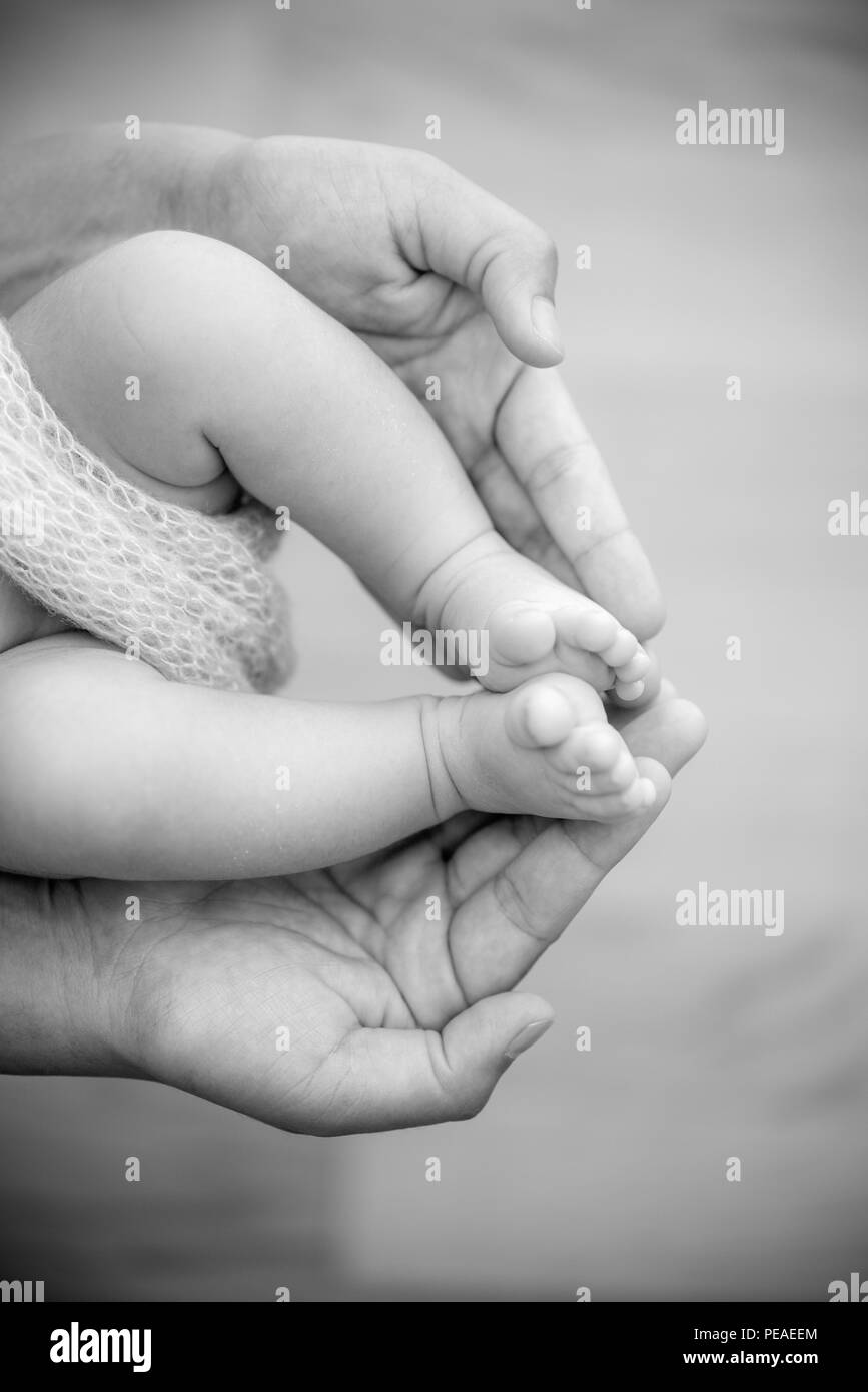 Los Pies De Un Bebe Recien Nacido En Las Manos De Los Padres Familia Feliz Oncept Papa Y Mama Abrazo Sus Piernas Del Bebe Fotografia De Stock Alamy Los Pies De Un Bebe Recien Nacido En Las Manos De Los Padres Familia Feliz Oncept Papa Y Mama Abrazo Sus Piernas Del Bebe Fotografia De Stock Alamy