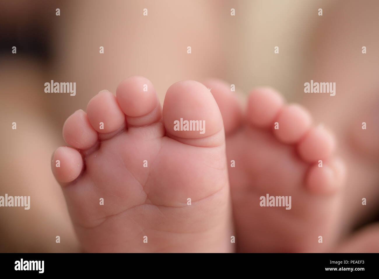Los pies de un bebé recién nacido en las manos de los padres. Familia Feliz oncept. Papá y Mamá abrazo sus piernas del bebé. Foto de stock