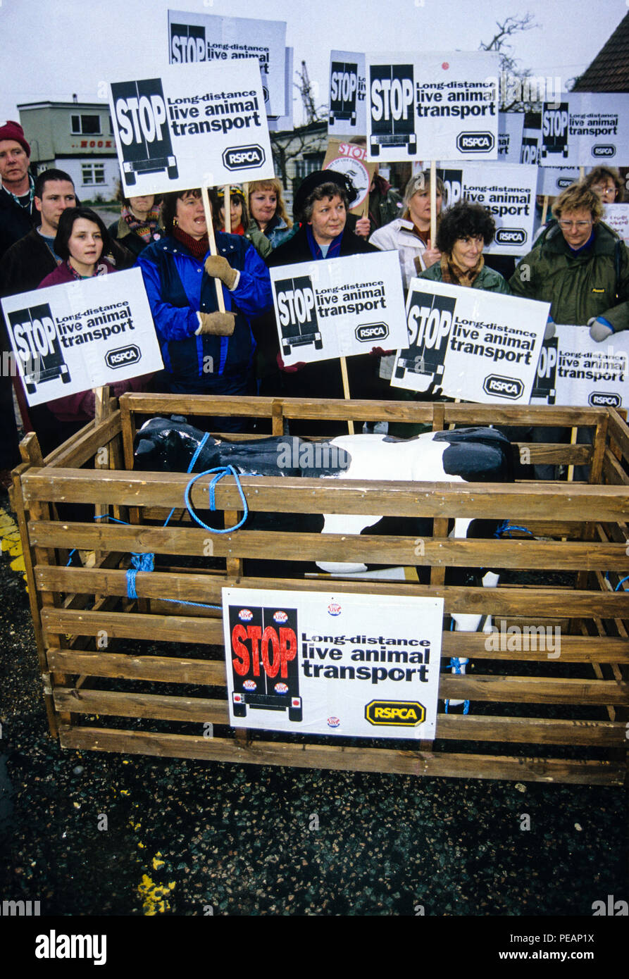 RSPCA Vacuno Crate, Batalla de Brightlingsea, Live Exportar protestas, Brightlingsea, Essex, Inglaterra, Reino Unido, GB. Foto de stock