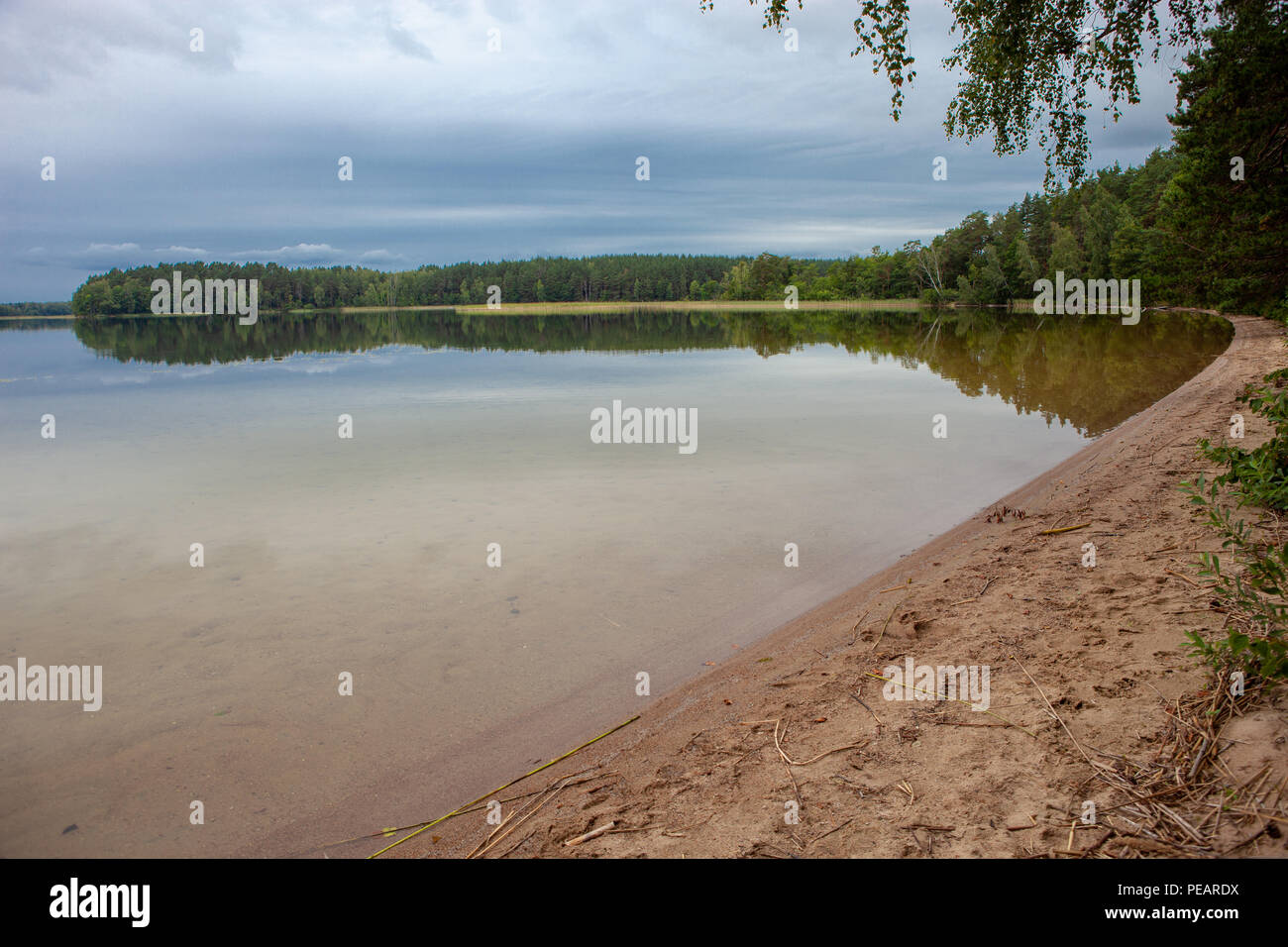 Playa de arena en un lago en un bosque con árboles y cielo nublado, de aguas calmas y tranquilas antecedentes Foto de stock