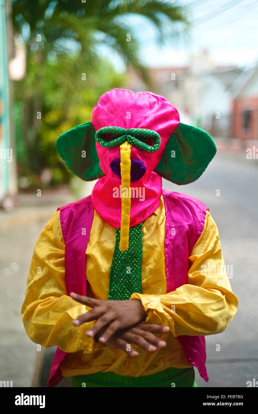 Uno de los más importantes y conocido personaje es la Marimonda, originada en la ciudad de Barranquilla, este personaje está representada por sus propios movimientos de baile. El Foto de stock