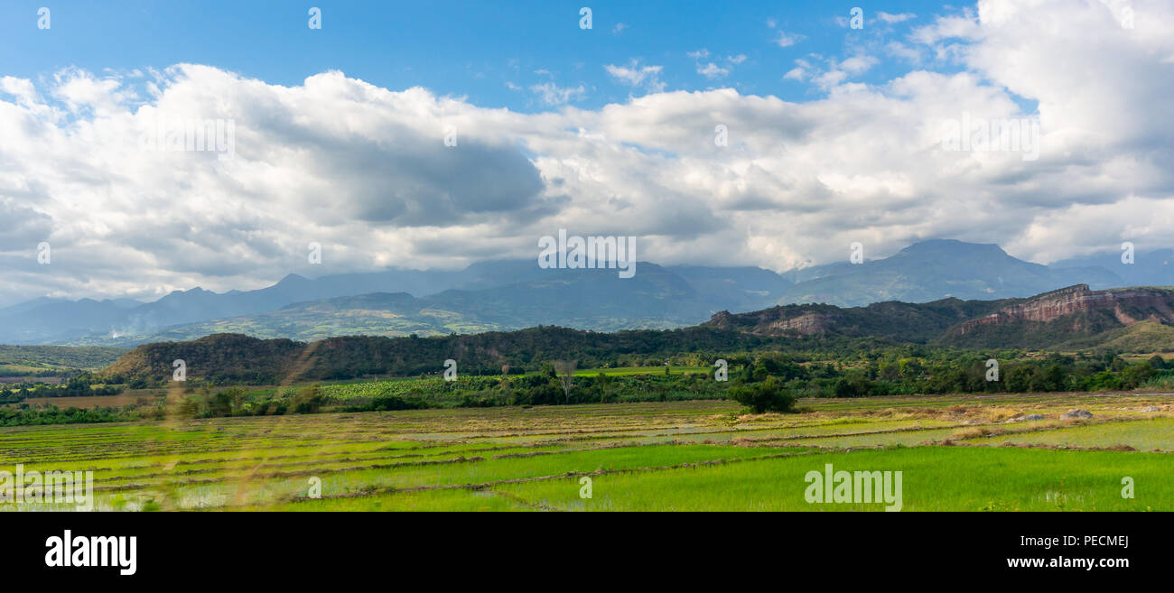 Los andes con campos de arroz en el sur de la región amazónica del Perú. Foto de stock