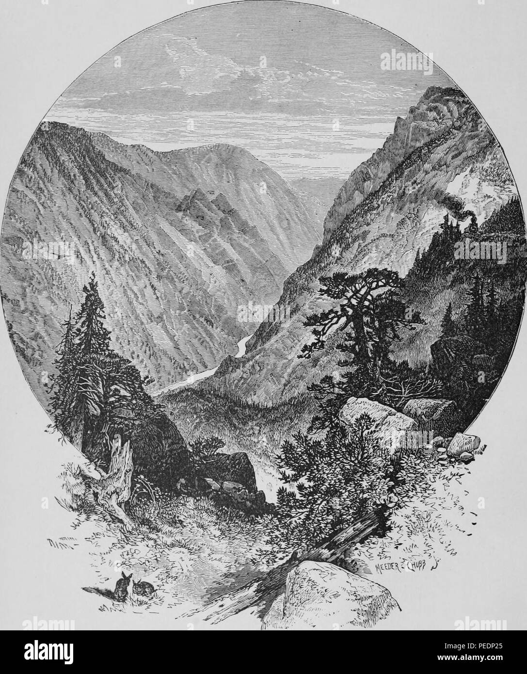 Impresión en blanco y negro que ilustran el \