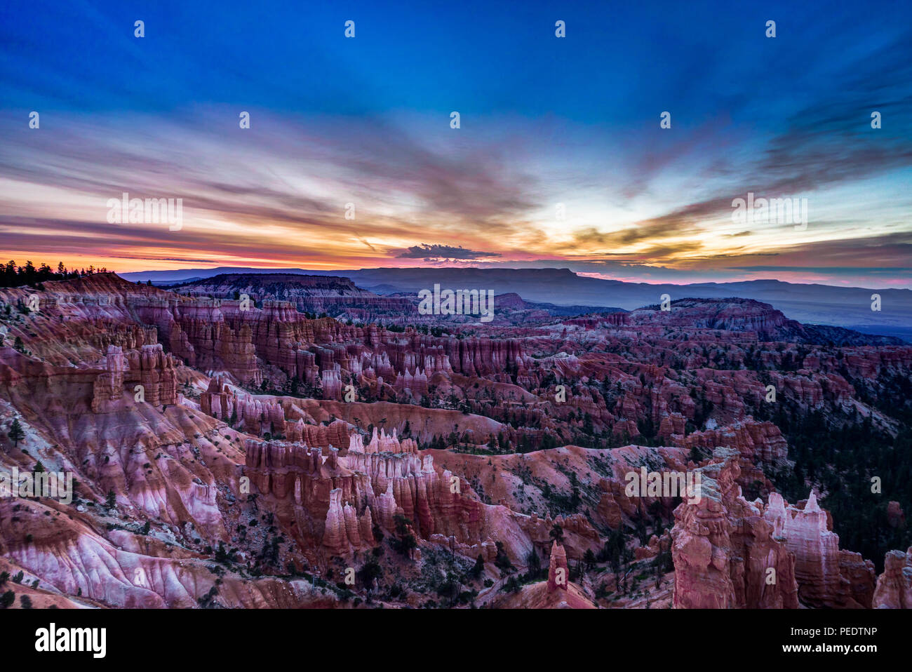 Foto tomada en Bryce Canyon en Utah, Estados Unidos de América. Foto de stock