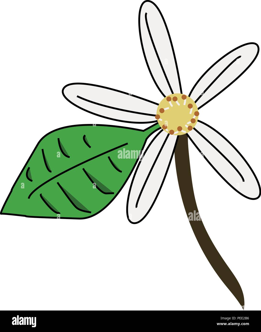 Dibujo de un azahar, la flor de naranjo con detalles y hojas verdes.  Hermosa flor aislado sobre fondo blanco. Vector Imagen Vector de stock -  Alamy