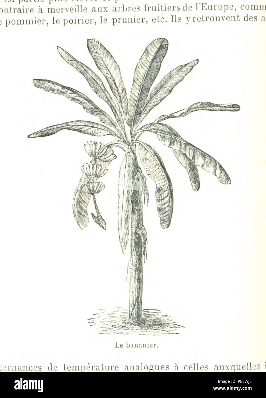 Imagen tomada de la página 114 de "L'Afrique. Anthologie ge_u0301ographie' Foto de stock