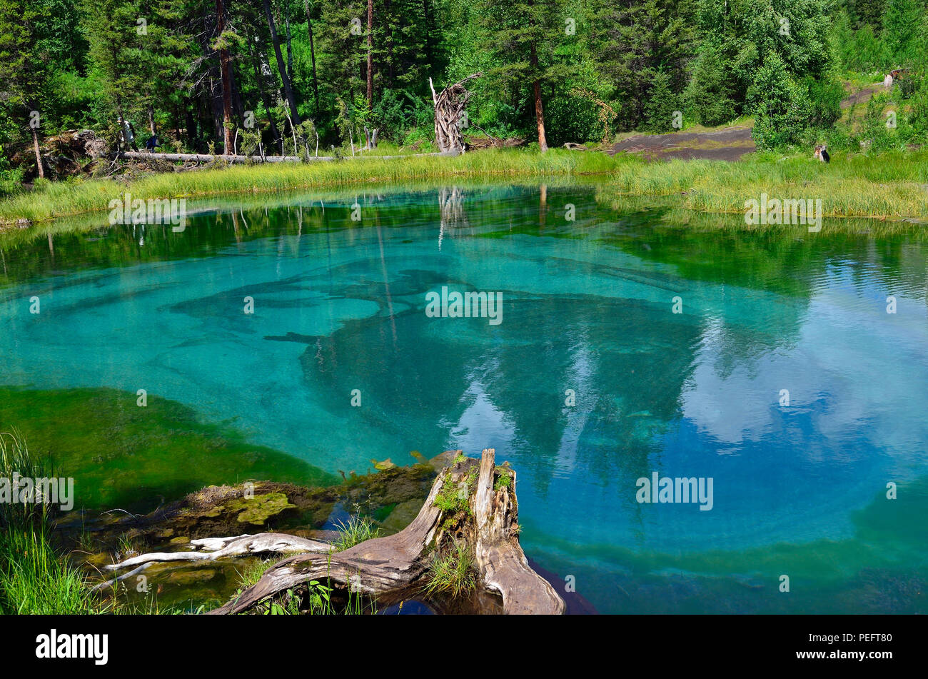 Increíble géiser azul lago en las montañas de Altai, en Rusia. Único lago turquesa con aguas cristalinas y circular oval divorcios, que todas las t Foto de stock