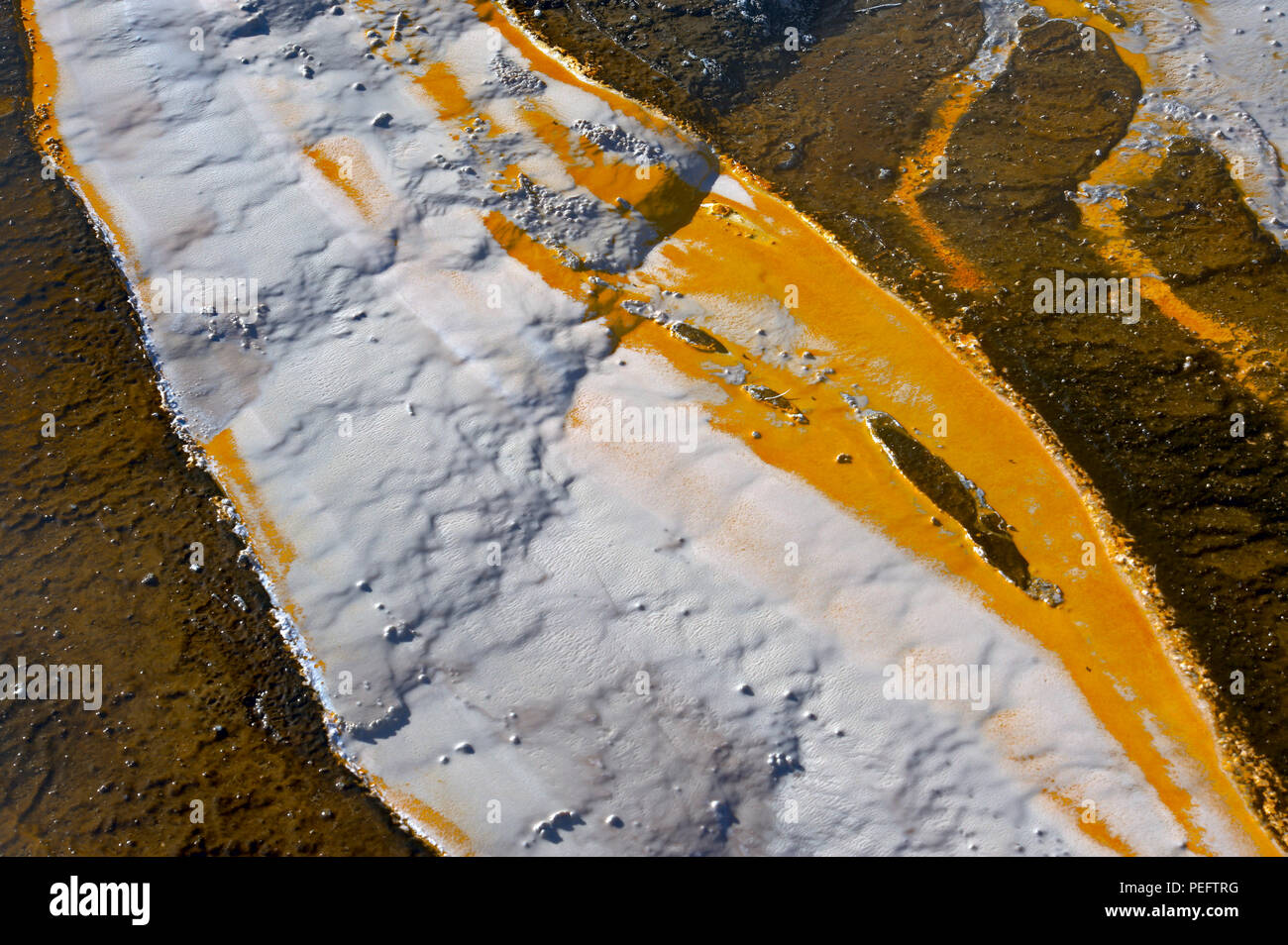 Colorido, mat bacteriana Orakei Korako, Isla del Norte, Nueva Zelanda Foto de stock