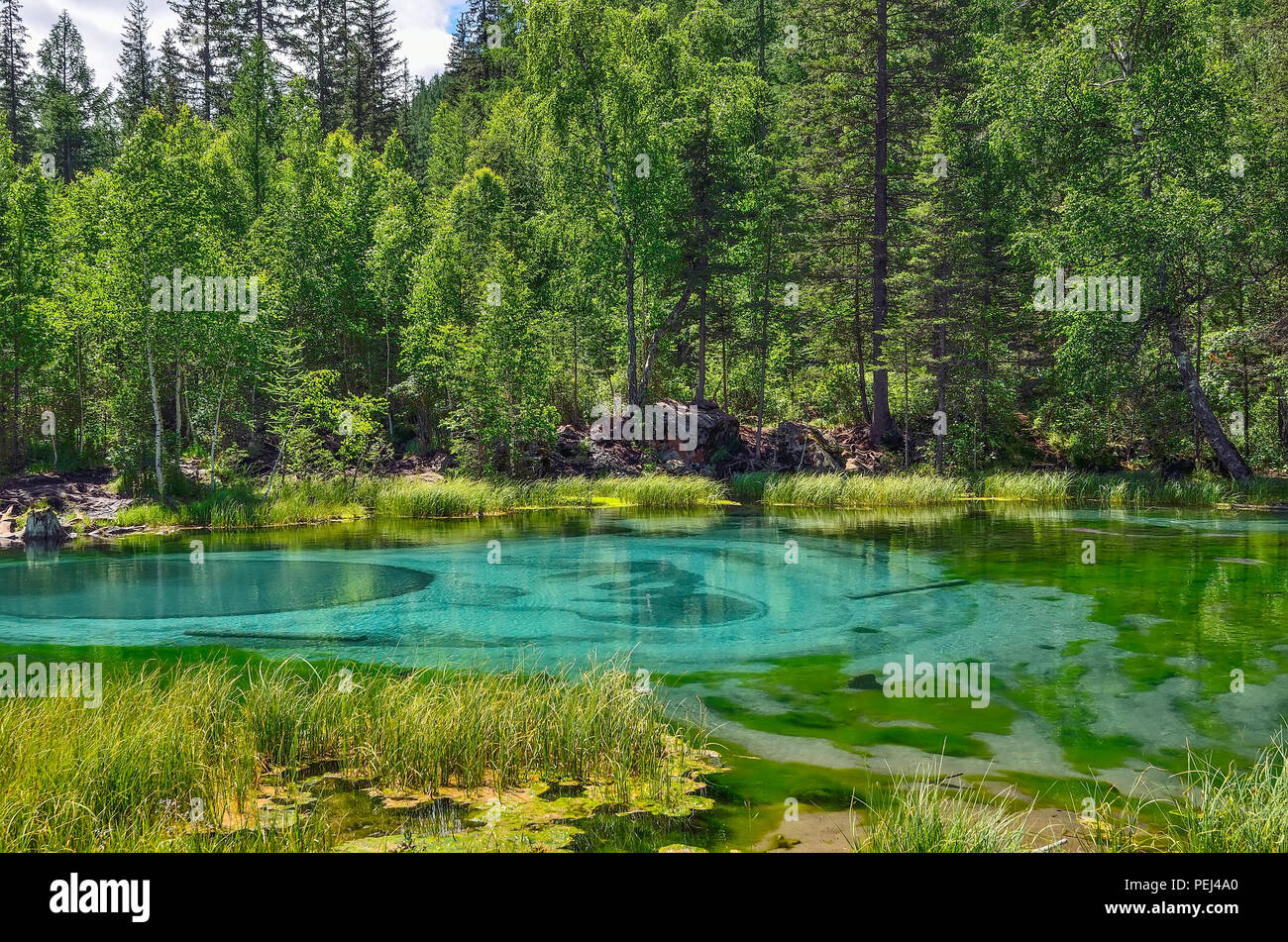 Increíble géiser azul lago en las montañas de Altai, en Rusia. Único lago turquesa con aguas cristalinas y circular oval, que cambian los divorcios ser Foto de stock