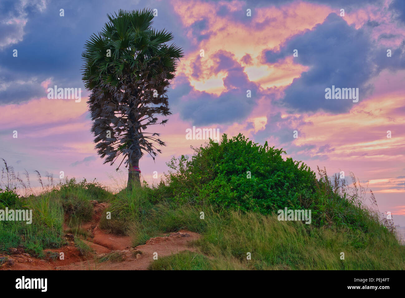 Cape Phromthep es un famoso punto de vista de la puesta de sol en Phuket, senderismo y un punto para los residentes locales. También es un paraíso para el fotógrafo. Foto de stock