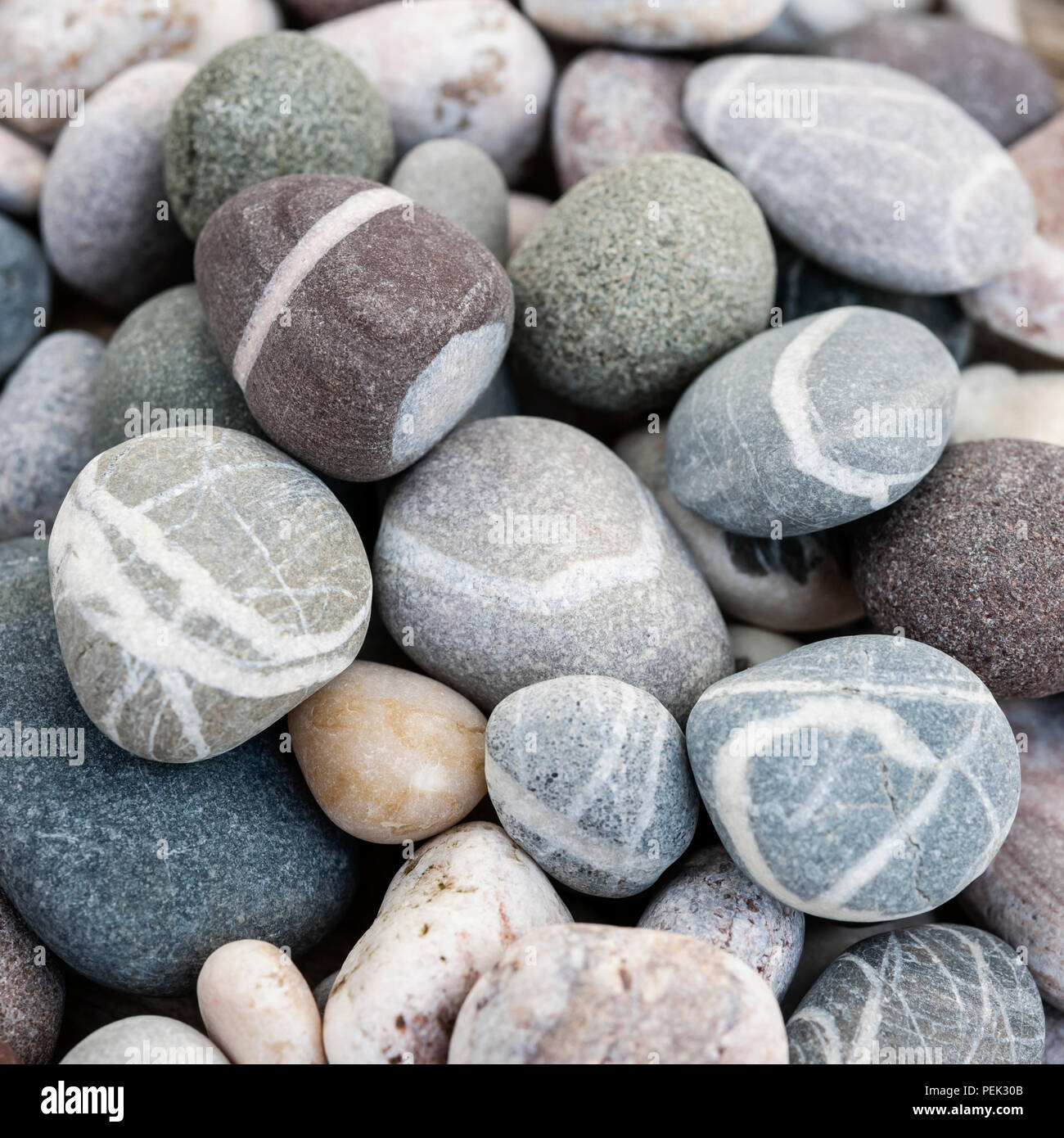 Playa redondos pequeños guijarros o rocas lisas con diferentes formas y colores de piedras, macro de cerca. Formato cuadrado. Foto de stock