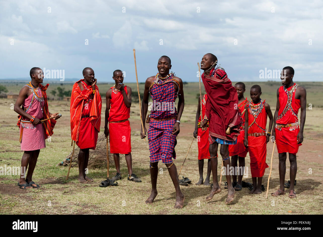 Los guerreros masai bailando Foto de stock