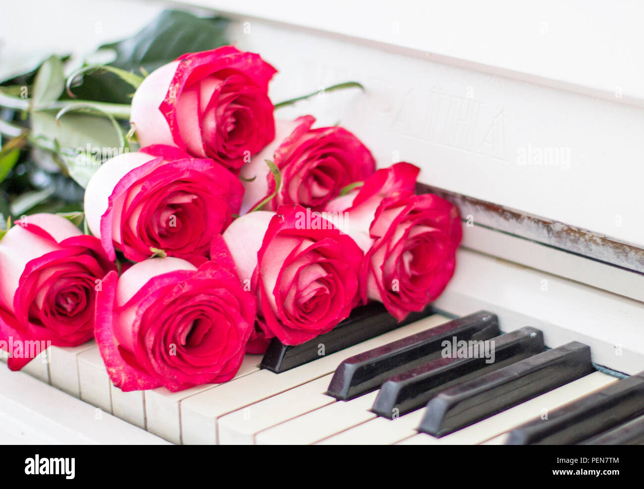 Rosas rojas de lujo sobre un piano. Bouquet de rosas rojas y teclas de piano  Fotografía de stock - Alamy