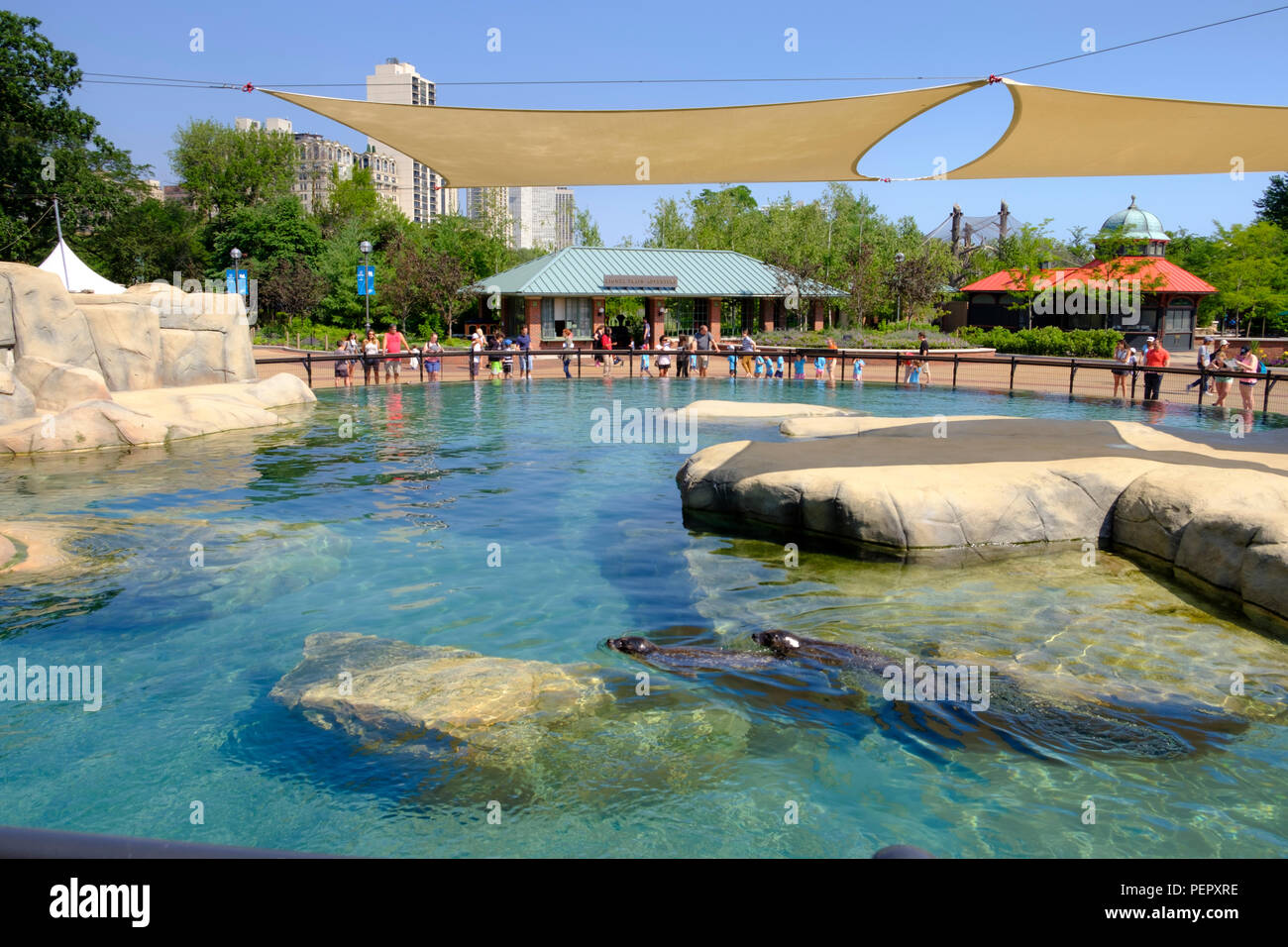 Junta Kovler descubierta en el Lincoln Park Zoo en verano, Chicago, Illinois, EE.UU. Foto de stock