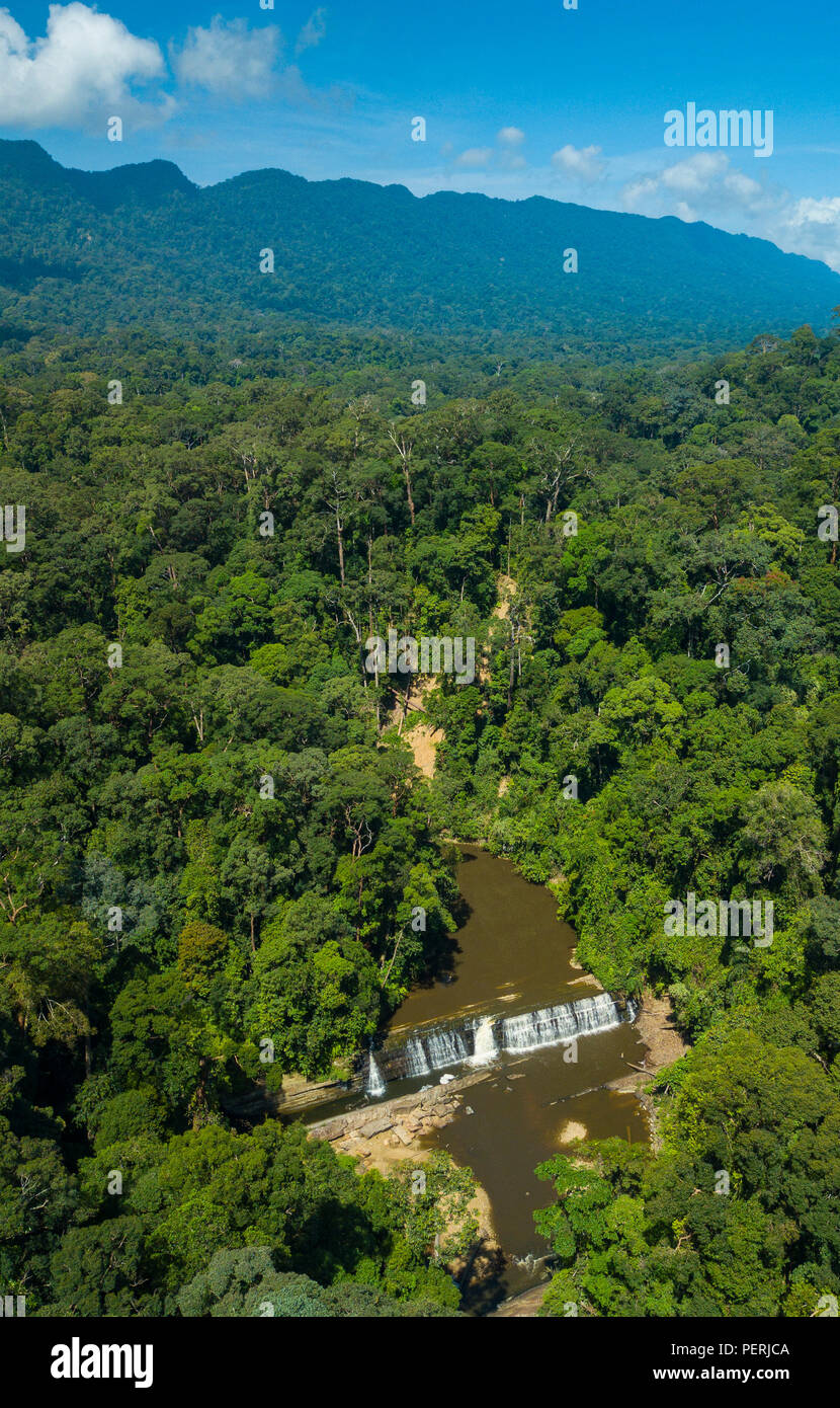 Foto de Imbak drone vertical cae rodeado por bosque tropical lluvioso, con una empinada cresta de la montaña en el fondo. Imbak Canyon, Sabah, Malasia Foto de stock