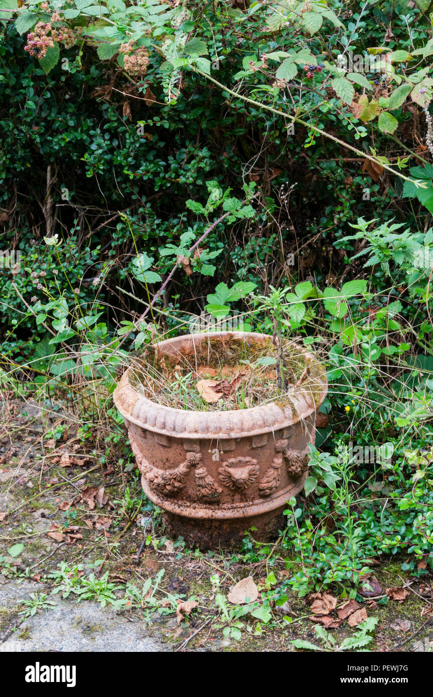 Pot, en una frondosa terraza jardín. Foto de stock