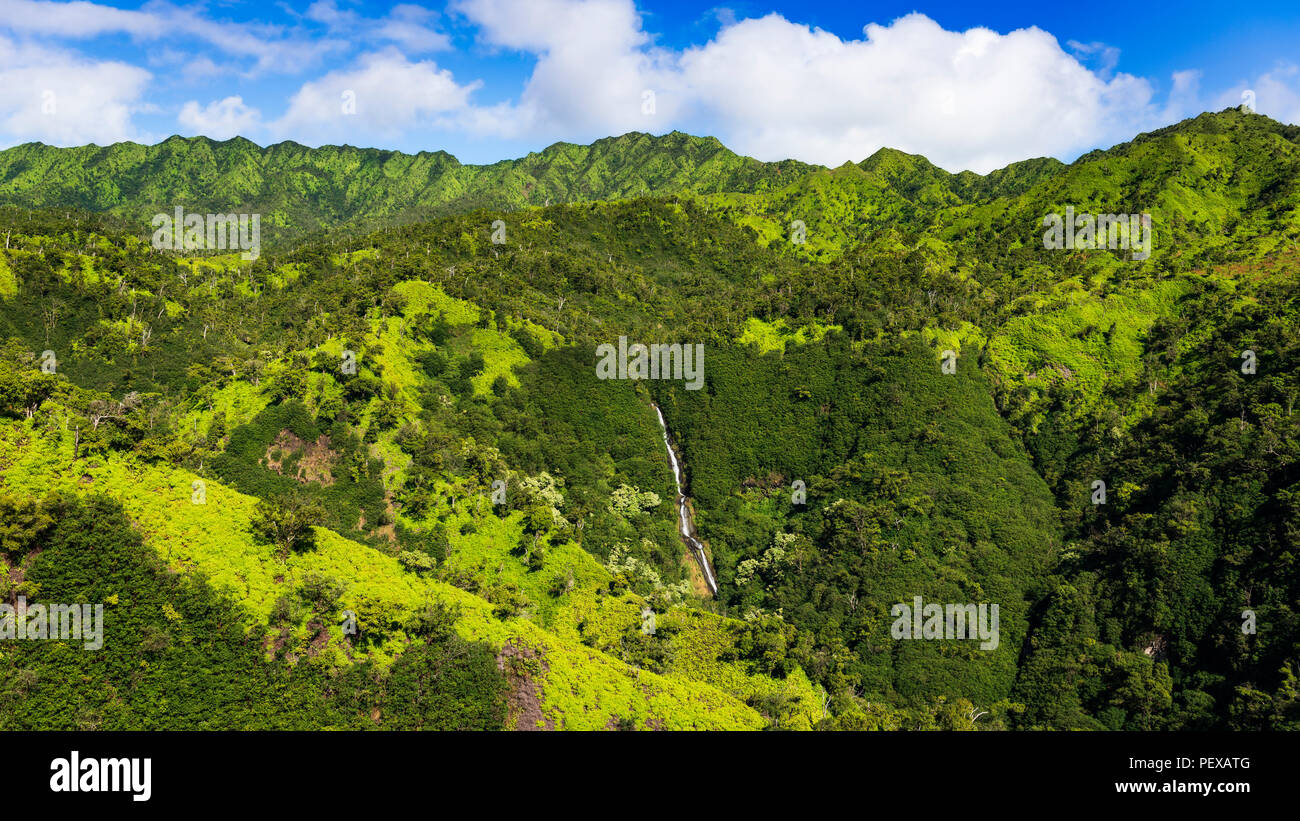 Manawaiopuna Falls (antena), también conocida como Jurassic Park Falls, Hanapepe Valley, Kauai, Hawaii, EE.UU. Foto de stock