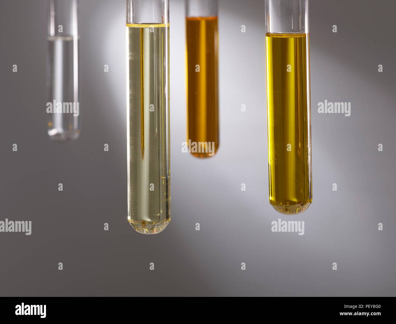 Los aceites de cocina en tubos de ensayo, Foto de estudio. Foto de stock