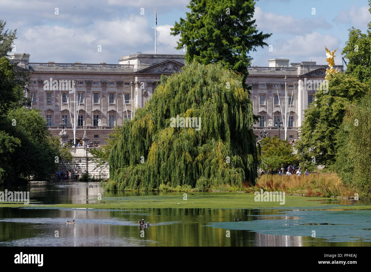St James's Park, con el Palacio de Buckingham en Londres, Inglaterra, Reino Unido Foto de stock