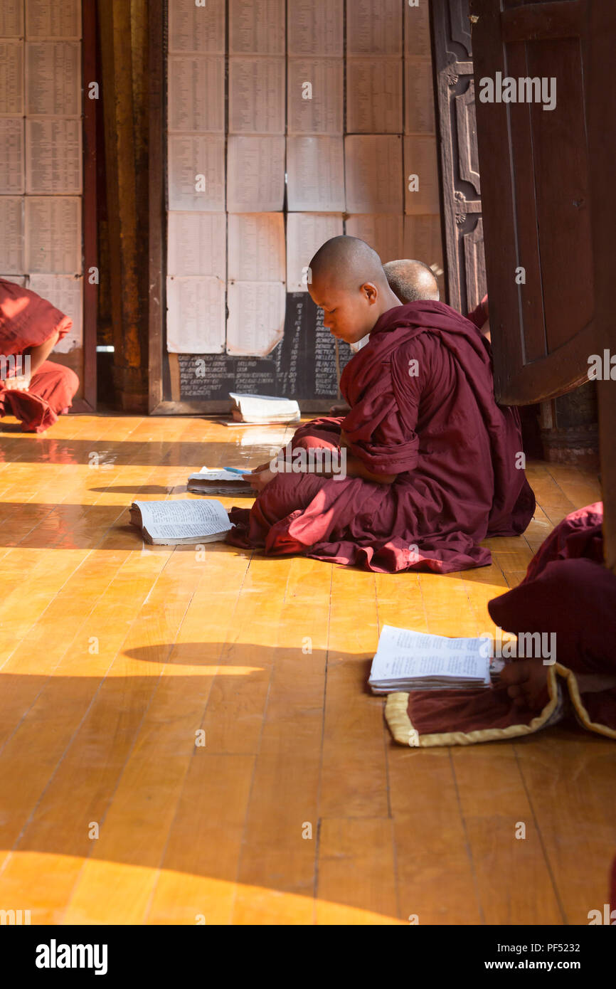 Los jóvenes monjes novicios Yaunghwe en Shwe Kyaung monasterio, Nyaungshwe, Lago Inle, Myanmar Foto de stock
